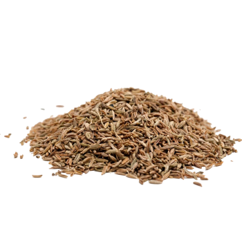 Cumin Seed